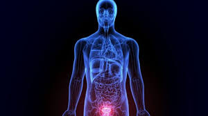 Explains prostate problems including prostatitis and benign prostatic hyperplasia. Para Que Sirve La Prostata Y Otras 6 Importantes Cosas Que Debes Saber Sobre Esta Glandula Masculina Bbc News Mundo