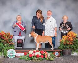 New entry limit for the masters agility championship: Chehalis Resident To Judge At Westminster Kennel Club Dog Show The Daily Chronicle