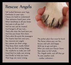 Rescue Angels Rescue Quotes Dog Quotes Animals