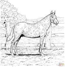 Are you searching horse coloring pages for your kids? Pin On Animal Coloring Pages