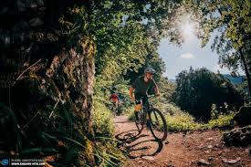 Euro tour men / dynamic billard st. The Best Budget Trail Bike Of 2020 9 Exciting Mtbs On Review Enduro Mountainbike Magazine