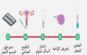 والجدير بالذكر أن التلقيح الصناعي تكلفته أقل بكثير من الحقن المجهري، بالإضافة إلى أن عملية التلقيح سنحصل على نتيجتها عقب مرور 14 يوم فقط من عمل التلقيح وإدخال السائل المنوي إلى رحم المرأة ويمكن عملها من خلال أطباء النساء والتوليد والعقم. Ø§Ù„ØªÙ„Ù‚ÙŠØ­ Ø§Ù„ØµÙ†Ø§Ø¹ÙŠ Ø§Ù„Ù…Ù†Ø²Ù„ÙŠ Bcartsales Org