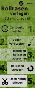 Rollrasen Verlegen Vorteile Experten Anleitung Mit Bildern Rasen Rasenpflege Fruhling Garten Anpflanzen