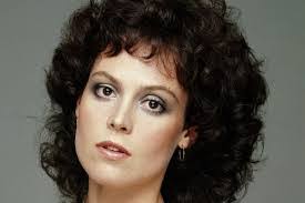 Steven Tash's Instagram, Twitter & Facebook