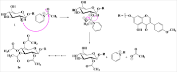 Image result for Trifolium baccarinii