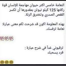 pin by batoul alamiddine on نكت arabic funny funny quotes arabic jokes