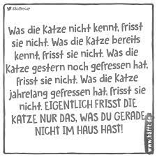 Maybe you would like to learn more about one of these? 10 Spruche Uber Katzen Zum Weltkatzentag Hafft De