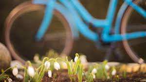 Versicherungsschutz Furs Fahrrad Versicherungskammer Bayern