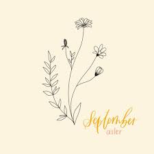 September Birth Flower Astrology Gracewell Design Co Birth Flower Tattoos Birth Flowers Aster Flower Tattoos