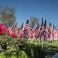 North Texas ~ Field of Honor® 2025 event image