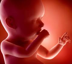Berat badan bayi 5 bulan umumnya mencapai 2 kali lipat dari berat badan awal kelahiran. Tahap Perkembangan Bayi Usia 6 Bulan Keatas