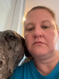 In case you've ever wondered what painting with Great Danes is like  🤦🏻‍♀️😂