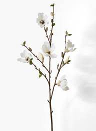 The magnolia is one the the oldest flowering trees know to mankind, and prized worldwide for their flowers and forms. Shop Wholesale Silk Magnolia Flowers Leaves Branches Magnolia Branch Magnolia Flower Flowers For Sale
