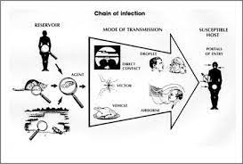 Principles Of Epidemiology Lesson 1 Section 10 Self Study Course Ss1978 Cdc Chain Of Infection Nursing School Essential Nclex