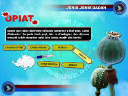 Check spelling or type a new query. Aadk Johor On Twitter Jom Kita Kenali Jenis Jenis Dadah Kemakmurandankesejahteraanbersama Dadahterkawal2025 Komunitikitatanggungjawabkita Sokongdanakurdudukdirumah Kitajagakita Stayathome Https T Co Sujb9dtyqk