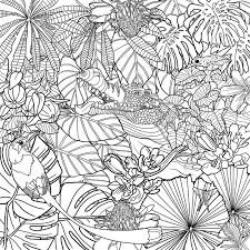 Rainforest Coloring Page Jungle Coloring Pages Coloring Books Blank Coloring Pages