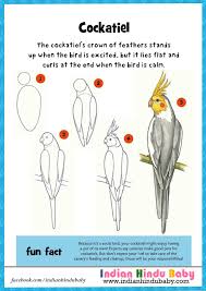 Easy Cute Bird Drawing For Kids Teach Your Kid To Draw And Paint Cocktail With Simple Drawing Tips Bird Drawings Drawings Doodle Drawings