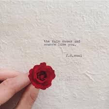 Poetry Community On Instagram Follow Us Poetry Community Poetry Community For More Beautiful Poetry Love Quotes Photos Flower Quotes Rose Quotes