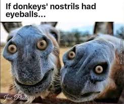 What Is Seen Cannot Be Unseen Love Meme