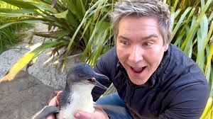 ‘Derek’ the penguin is a superstar!