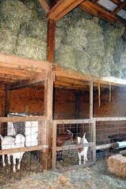 Ini kerana kos menyewa tanah yang murah(rm100/ekar setahun) memberikan kelebihan untuk projek ini berdaya maju. Kambing Untuk Kambing 37 Gambar Susunan Paddock Dan Gerai Untuk Memerah Susu Dengan Tangan Anda Sendiri Bagaimana Membuat Kandang Mengikut Lukisan Ukuran