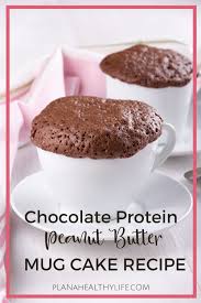 Chocolate Peanut Butter Protein Mug Cake Recipe Plan A Healthy Life Recipe In 2020 Protein Mug Cakes Peanut Butter Mug Cakes Savoury Cake