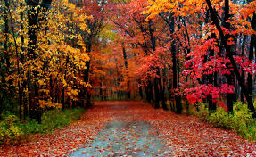 Download these fall season background or photos and you can use them for many purposes, such as banner, wallpaper, poster. Autumn Season Wallpapers Wallpaper Cave