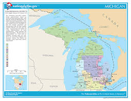 2020 Michigan Elections Candidates Races And Voting