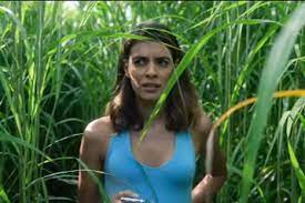 There S Nothing Worthwhile In The Tall Grass