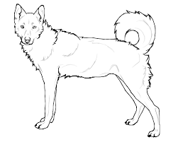 Husky coloring pages best coloring pages for kids Realistic Siberian Husky Coloring Pages