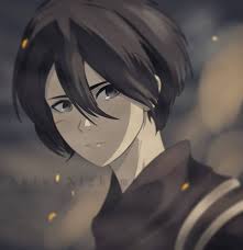 Shinanightmare Mikasa from attack on titan.