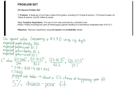 33 monohybrid crosses practice worksheet answer key … : Monohybrid Cross Practice Give Peas A Chance Worksheet Answer Key Monohybrid Cross Answer Key