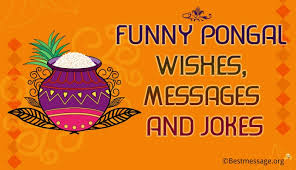 Funny Pongal Wishes Funny Pongal Messages And Jokes