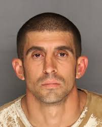 Man who Dumped Two Dead Horses Arrested