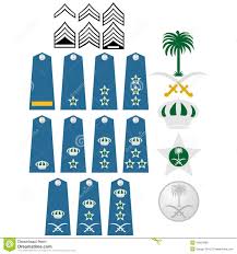 Air Force Insignia Saudi Arabia Stock Vector Illustration