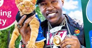 Portland's Parking Kitty App Brings All the Coolest Cats to the Lot