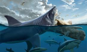 Maybe you would like to learn more about one of these? Megalodon Informacion Sobre El Tiburon Gigante Prehistorico