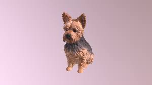 1809019 Harvey Yorkshire Terrier 3d Model By Arty Lobster Pet Sculptures Made Simple Artylobster 7aab2d5 Sketchfab