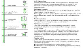 Check spelling or type a new query. Corrente Elettrica Ed Effetti Sul Corpo Umano Studio Favari