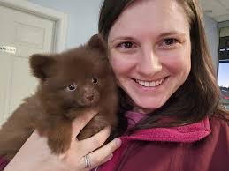 So my little princess Zara, she got some fleas, I don't know where, but she  did. Is she 8 weeks old, advice? How to get rid of them?