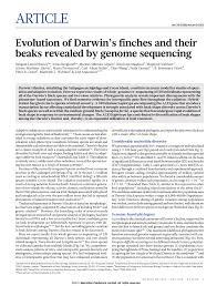 Johnny bell, kyle morton, samantha rhoades, and aiyana mary. Pdf Evolution Of Darwin S Finches And Their Beaks Revealed By Genome Sequencing