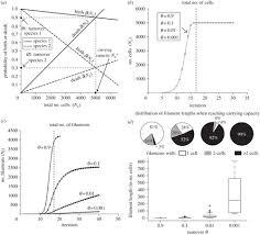 Emergent Multicellular Life Cycles In Filamentous Bacteria