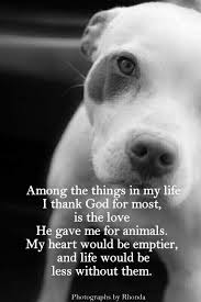 So Very Very True Love Your Pets Unconditionally They Do It For You Always Happy Dogs Dogs Dog Quotes