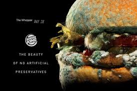Burger King S Mouldy Whopper For And Against Contagious