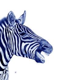 Cool Bic Pen Drawings Of Animals By Sarah Esteje Animal Portraits Drawing Pen Illustration Ballpoint Pen Art