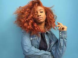 Copper Hair On Black Women Google Search Copper Hair Color Hair Color For Dark Skin Natural Hair Styles
