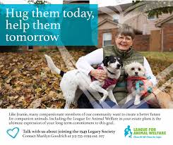 ROWENA'S STORY: A HAPPY ENDING