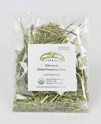 Image result for Sida acuta