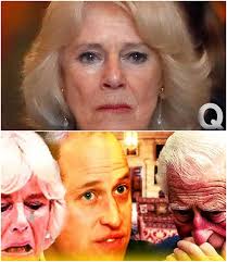 15 Hidden Details about Princess Diana's Secret CONFRONTATION with Camilla  Parker-Bowles 👑💔 ( For Full Information, Check Link In Comment👇🏻👇🏻)