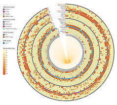 Genome sequencing of thousands of viral samples has helped researchers study mechanisms of infection, transmission and response of the. Understanding Genomic Diversity Pan Genome And Evolution Of Sars Cov 2 Peerj